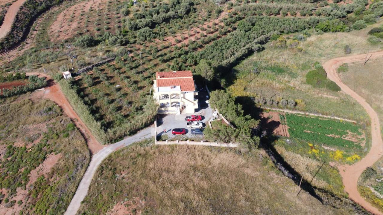 Studio Angellos Villa Marifay Psifia Dış mekan fotoğraf